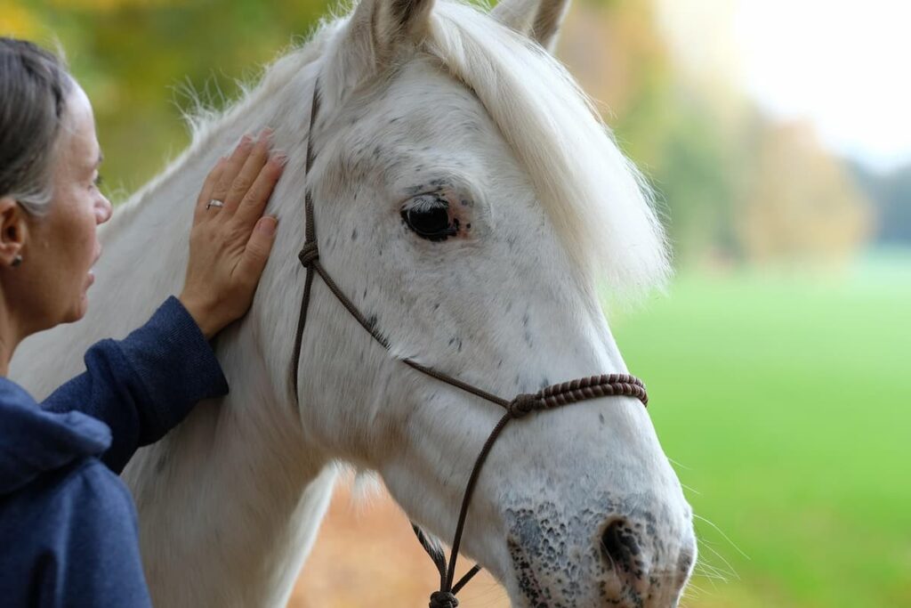 Imagem mostra uma jovem mulher fazendo carinho em um cavalo.