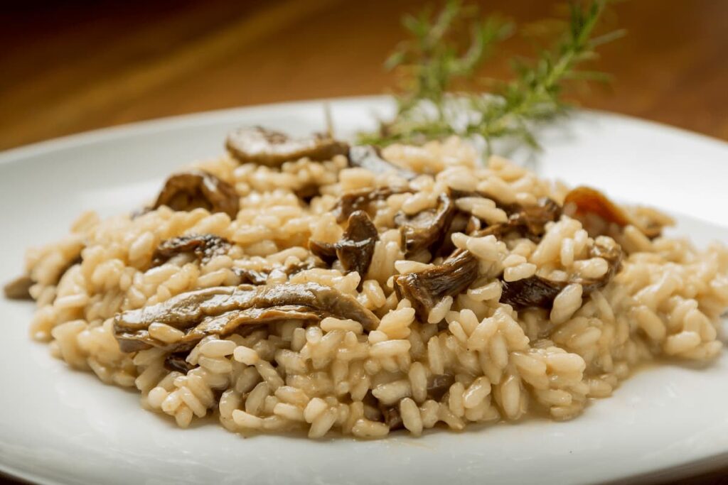 Imagem mostra um delicioso risoto de carne com legumes.